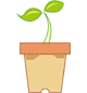 鉢植え