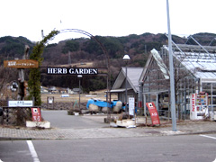 花とハーブの町 池田ハーブセンター