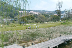 徐福長寿館 金立薬用植物園