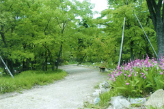 徐福長寿館 金立薬用植物園