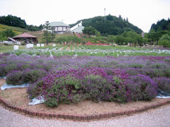 まきばの館