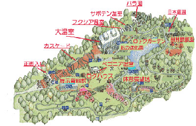 広島市植物公園ハーブのある植物園 公園紹介 エンジョイ ハーブガーデニング ハーバル ライフ 漢方を知る 漢方薬 漢方薬局 薬店のことなら きぐすり Com