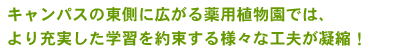 キャンパスの東側に広がる薬用植物園では、より充実した学習を約束する様々な工夫が凝縮！