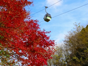 神戸市立布引ハーブ園