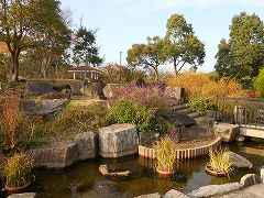 しあわせの村 薬草園