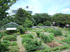 東邦大学薬学部付属 薬用植物園