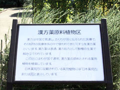 東京都薬用植物園