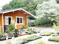 東京都薬用植物園