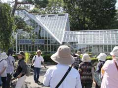 東京都薬用植物園