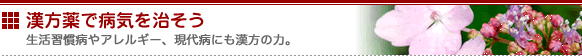漢方で病気を治そう　～生活習慣病やアレルギー、現代病にも漢方の力。～
