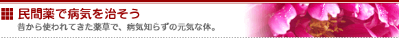 民間薬で病気を治そう　～昔から使われてきた薬草で、病気知らずの元気な体。～