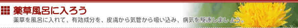 薬草風呂に入ろう　薬草を風呂に入れて、有効成分を皮膚から、気管から吸い込み、病気を駆逐しましょう。