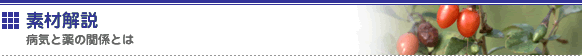 素材解説　～病気と薬の関係とは～