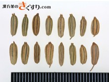 Image 茴香