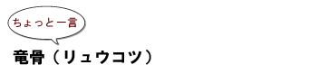 ~ちょっと一言: 竜骨(リュウコツ)~
