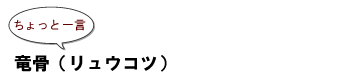 ～ちょっと一言：　竜骨（リュウコツ）～