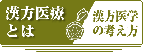 漢方医療とは　漢方医学の考え方
