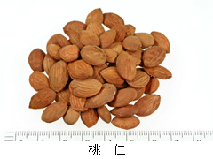 桃仁