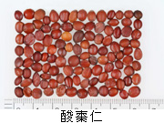 酸棗仁湯