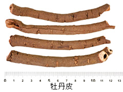 牡丹皮