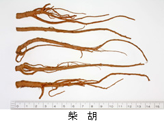 柴胡