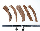 木 香