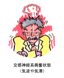交感神経系興奮状態(気逆や気滞)