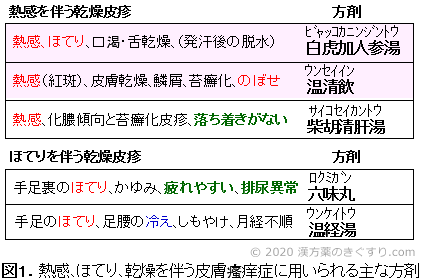 皮膚瘙痒症の漢方 2 熱感とほてり 病気の悩みを漢方で 漢方を知る 漢方薬 漢方薬局 薬店のことなら きぐすり Com 皮膚瘙痒症の漢方 2 熱感とほてり 病気の悩みを漢方で 漢方を知る 漢方薬 漢方薬局 薬店のことなら きぐすり Com