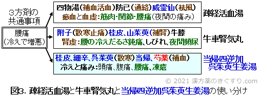 腰痛の漢方 ２ 慢性腰痛 病気の悩みを漢方で 漢方を知る 漢方薬 漢方薬局 薬店のことなら きぐすり Com