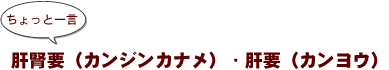 ~ちょっと一言:肝腎要(カンジンカナメ)・肝要(カンヨウ)