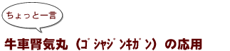 ~ちょっと一言:牛車腎気丸(ゴシャジンキガン)の応用