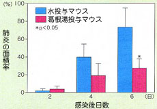 葛根湯の肺炎予防作用