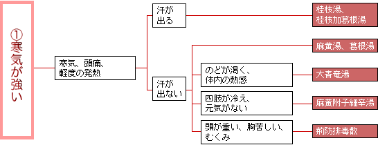 漢方処方・寒気が強い