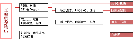 漢方処方・熱感が強い