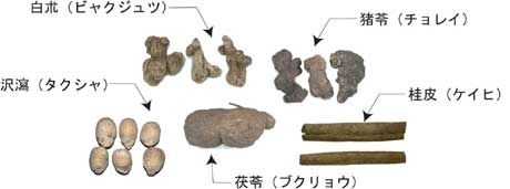 五苓散構成生薬