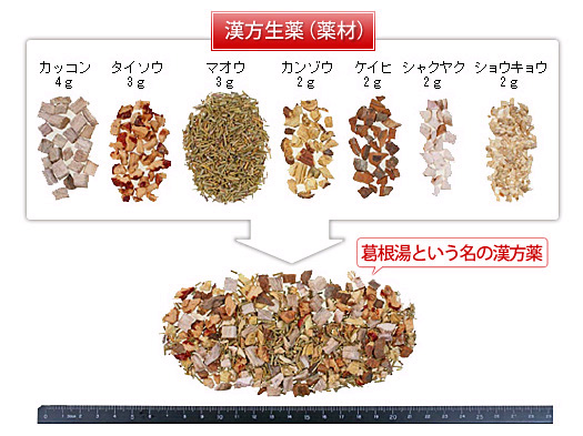 漢方薬と和漢薬と民間薬 御影雅幸先生の漢方あれこれ 漢方を知る 漢方薬 漢方薬局 薬店のことなら きぐすり Com