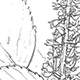 エゴマの茎葉と花穂