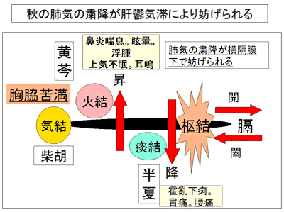 秋の肺気の粛降が肝鬱気滞により妨げられる