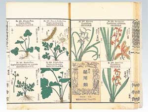 有用植物図説 （ゆうようしょくぶつずせつ）