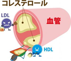 血管の中の説明