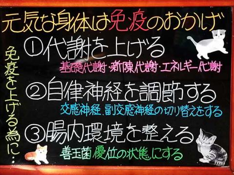 元気な身体は免疫のおかげ 