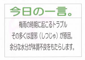 Scan0005