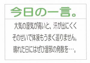 Scan0006