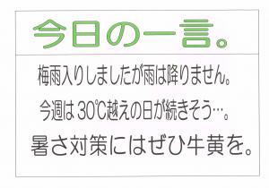 Scan0008