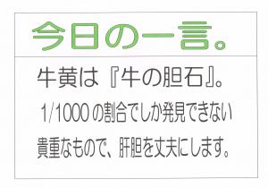 Scan0009