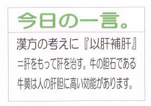 Scan0010