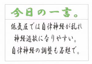 Scan0019