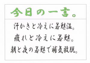 Scan0026