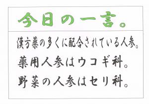 Scan0031