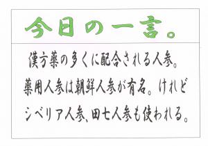 Scan0032